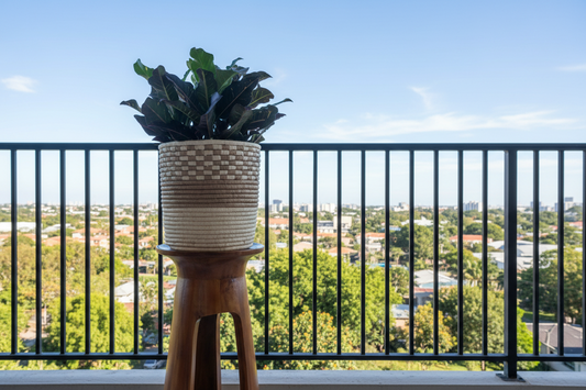 Potted plant on a wooden stand in a room with furniture