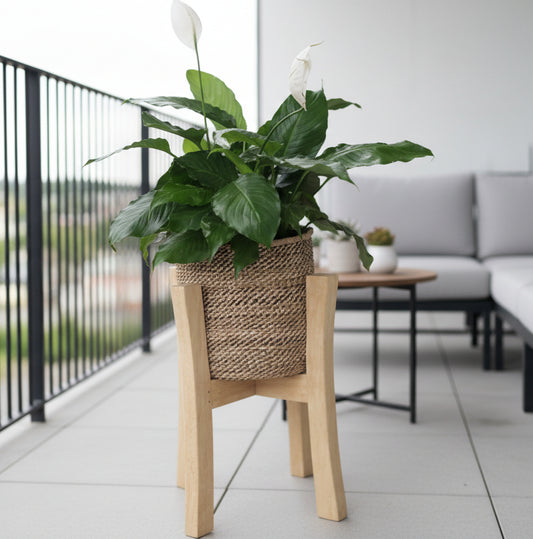 Potted plant on a wooden stand in an indoor setting