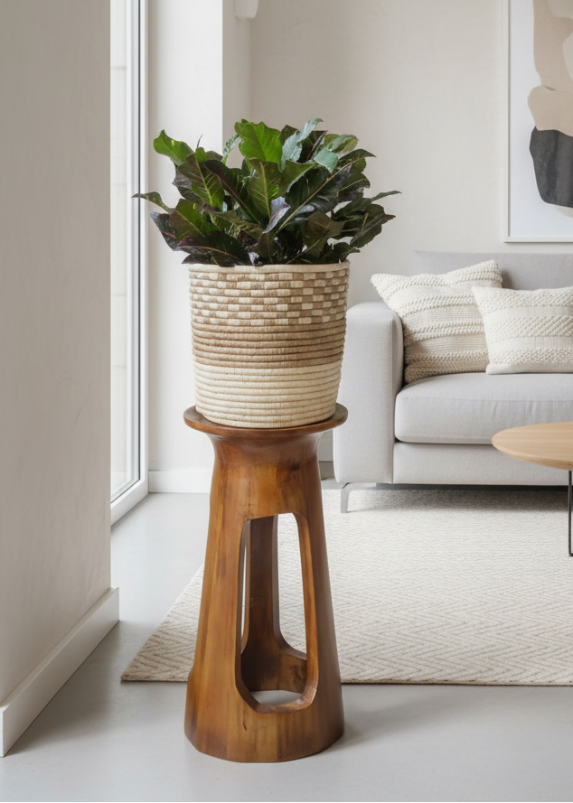 Potted plant on a wooden stand in a room with furniture