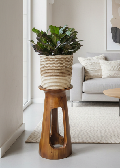 Potted plant on a wooden stand in a room with furniture