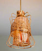 Single Concord Pendant -  -