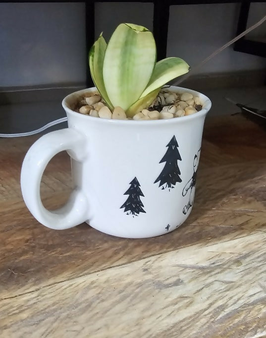 White mug with black tree design containing a small potted plant on a wooden surface