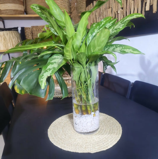 Tall glass vase with green plants on a dark surface, with wicker baskets in the background.