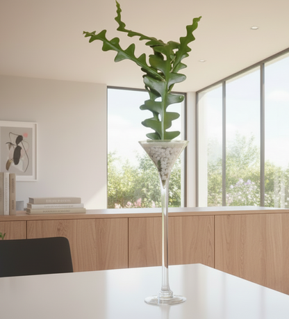 Tall green plant in a decorative vase on a table in an office setting with large windows.